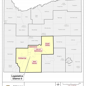 Map of Legislative District 5 in Cattaraugus County