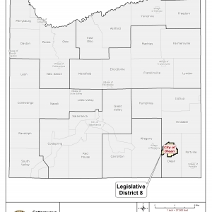 Map of Legislative District 8 in Cattaraugus County