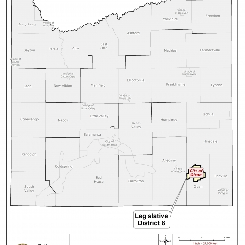 Map of Legislative District 8 in Cattaraugus County