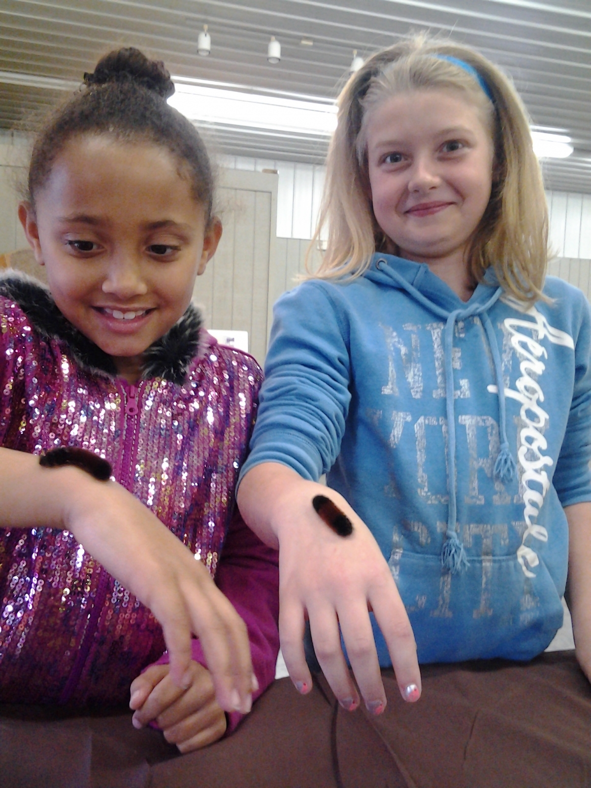 Woolybear caterpillars climbing on girls at the 2013 WILMA Weekend