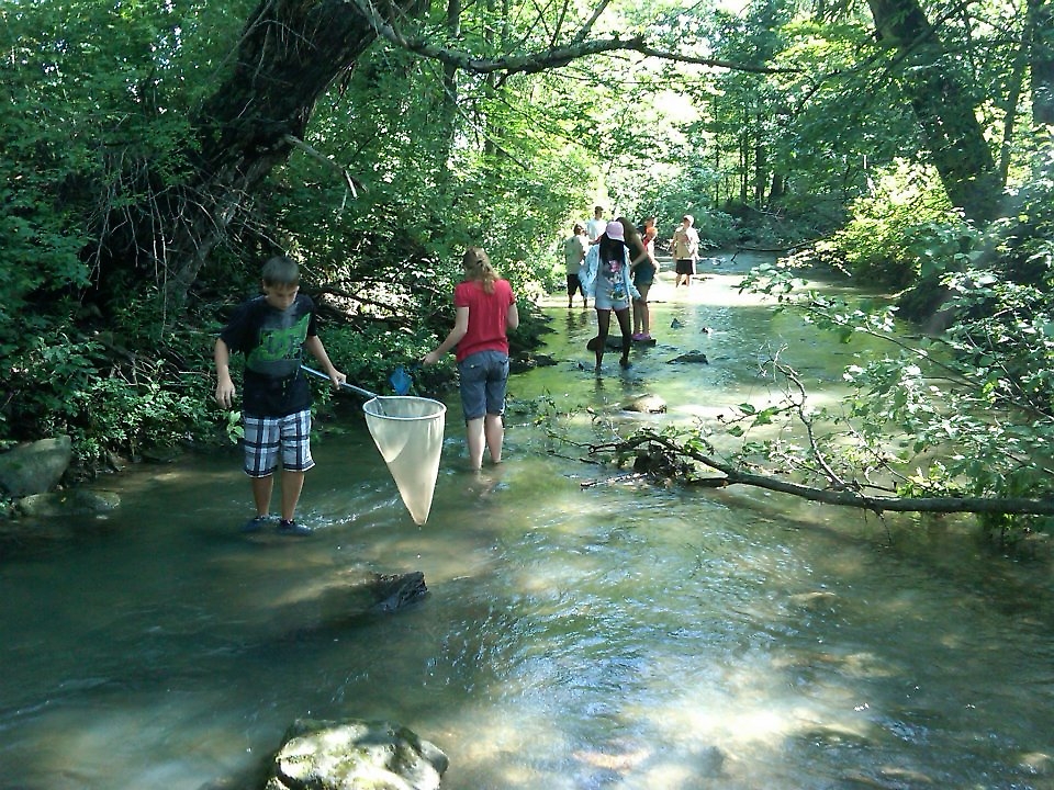 Stream Study at DEC Camp Rushford