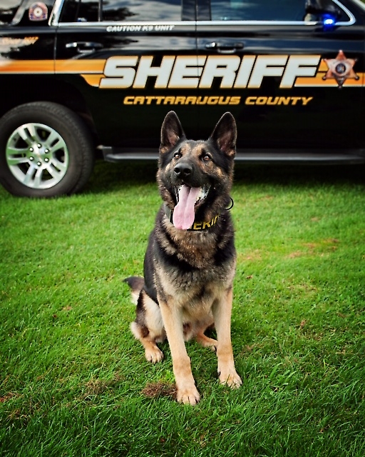 K9 Nichols