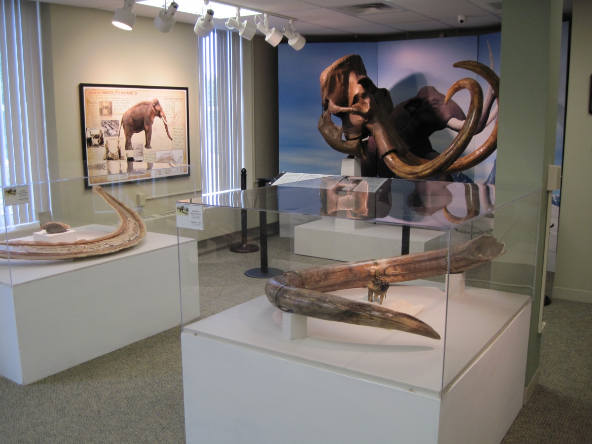 Farewell to the Mammoth at Cattaraugus County Museum 