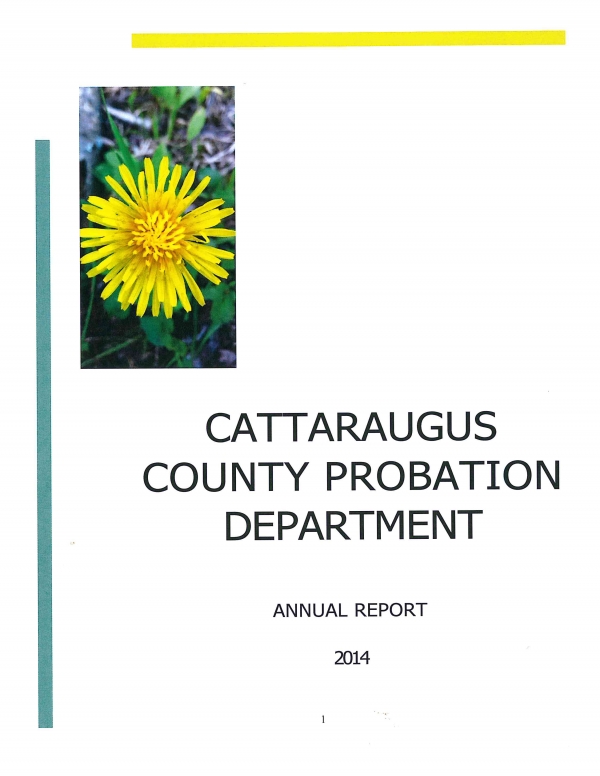Cattaraugus County Probation Department Annual Report 2014