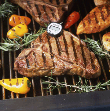 Thermometer in Steak